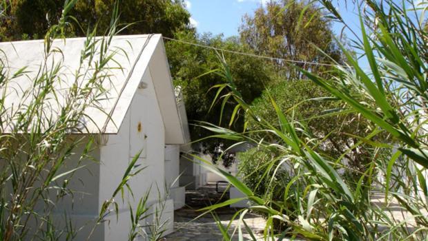 Surfing Beach Huts Santa Maria  Esterno foto